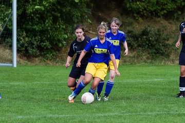 Bild 218 - Frauen TSV Gnutz - SG S�lfeld/Oe/Se/Stu : Ergebnis: 2:3